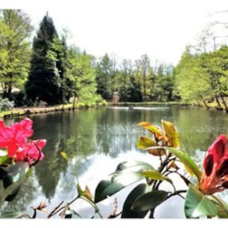 Chalet Au Bord De L'eau Saint-Quirin