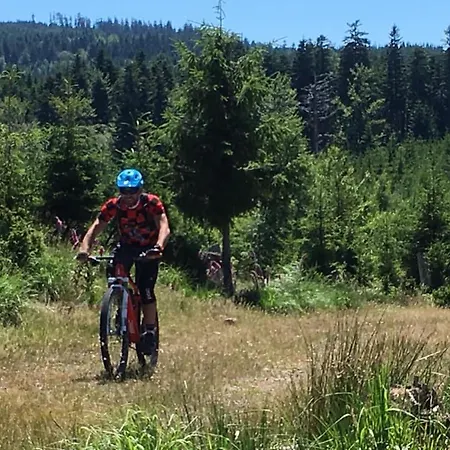 Au Bord De L'eau Chalet Saint-Quirin