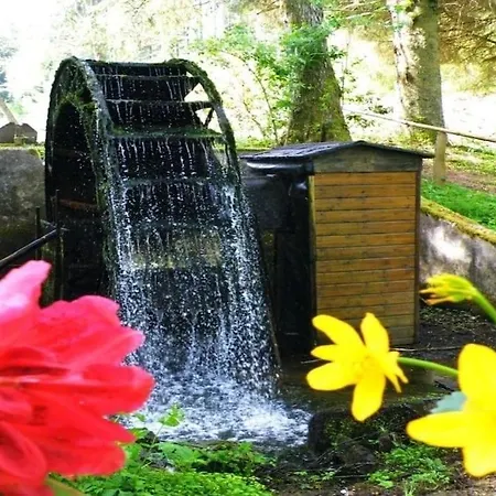 Au Bord De L'eau Chalet *