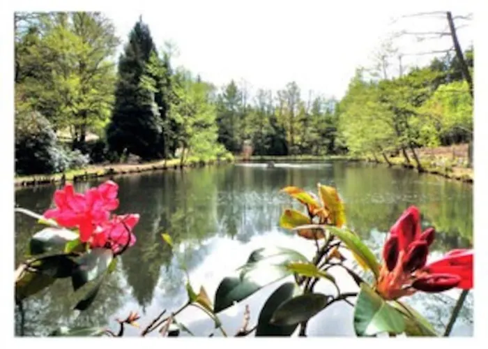 Chalet Au Bord De L'eau Saint-Quirin