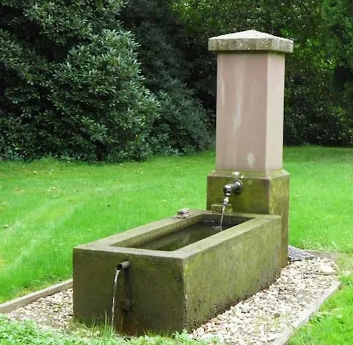 Au Bord De L'eau Saint-Quirin