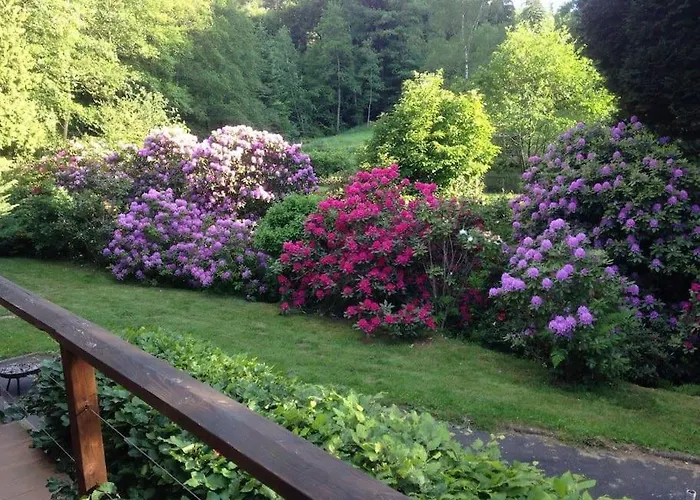 Chalet Au Bord De L'eau